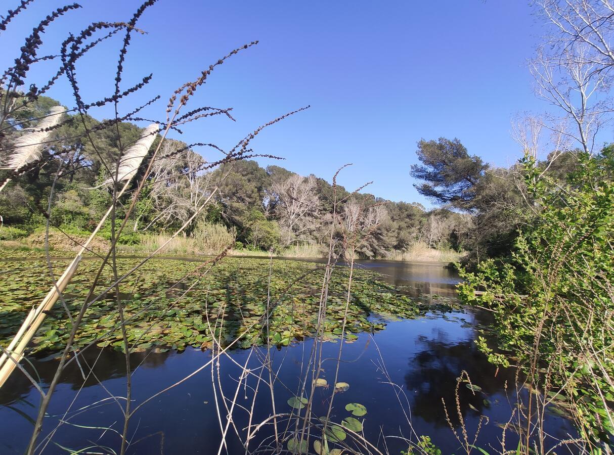 Domaine De La Coudouliere, Vue Mer, Plage, Piscine Et Parc Six-Fours-les-Plages Εξωτερικό φωτογραφία