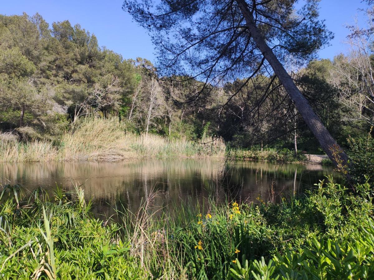 Domaine De La Coudouliere, Vue Mer, Plage, Piscine Et Parc Six-Fours-les-Plages Εξωτερικό φωτογραφία