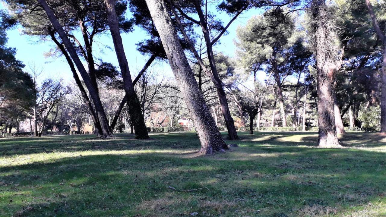 Domaine De La Coudouliere, Vue Mer, Plage, Piscine Et Parc Six-Fours-les-Plages Εξωτερικό φωτογραφία